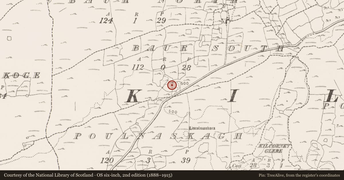 Ordnance Survey six-inch map, 2nd edition (1888–1915) covering the location of Fulacht fia, Baur South, County Clare, with a pin at the register's coordinates