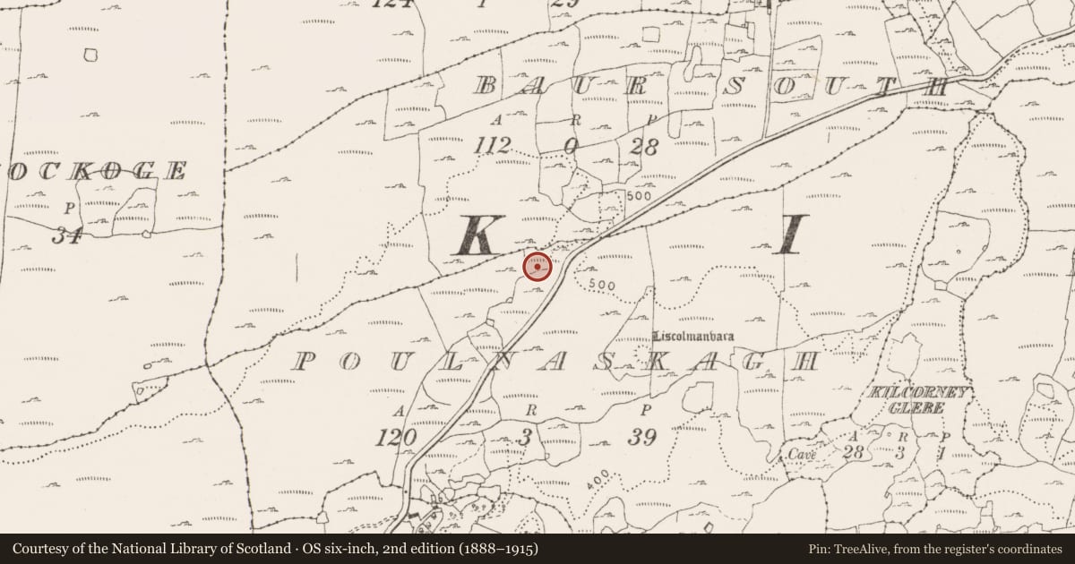 Ordnance Survey six-inch map, 2nd edition (1888–1915) covering the location of Cairn - unclassified, Poulnaskagh, County Clare, with a pin at the register's coordinates