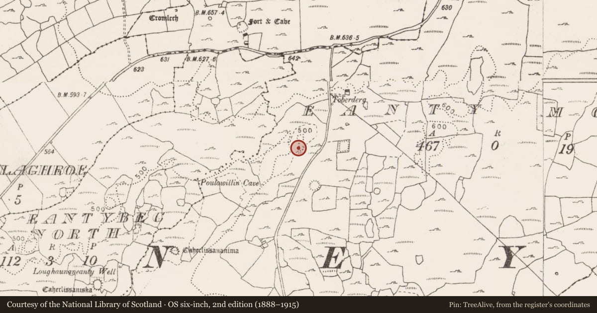 Ordnance Survey six-inch map, 2nd edition (1888–1915) covering the location of Fulacht fia, Eanty More, County Clare, with a pin at the register's coordinates