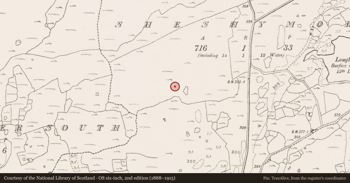 Ordnance Survey six-inch map, 2nd edition (1888–1915) covering the location of Megalithic tomb - wedge tomb, Sheshymore, County Clare, with a pin at the register's coordinates