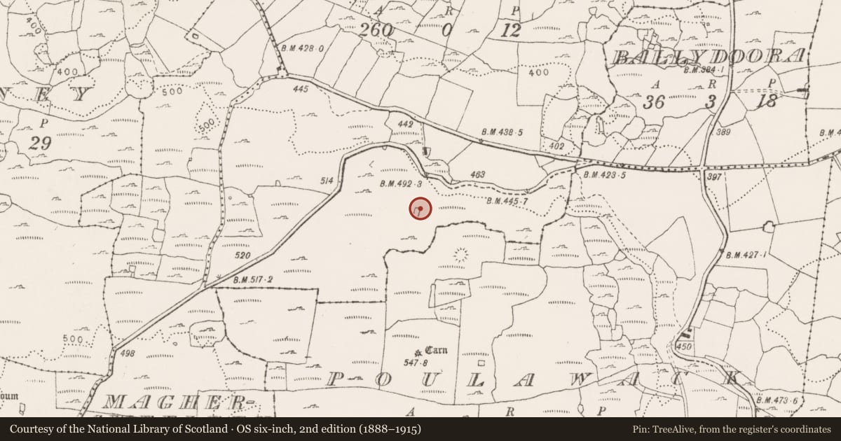 Ordnance Survey six-inch map, 2nd edition (1888–1915) covering the location of Enclosure, Caherconnell, County Clare, with a pin at the register's coordinates