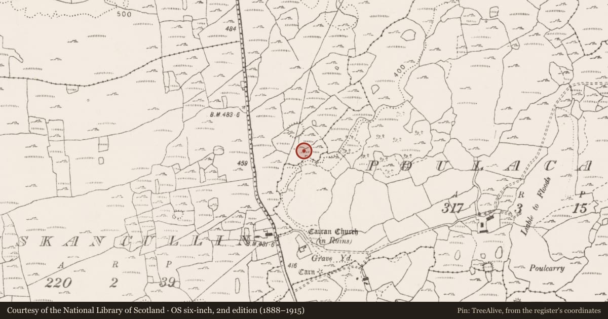 Ordnance Survey six-inch map, 2nd edition (1888–1915) covering the location of Settlement cluster, Poulacarran, Poulcaragharush, County Clare, with a pin at the register's coordinates