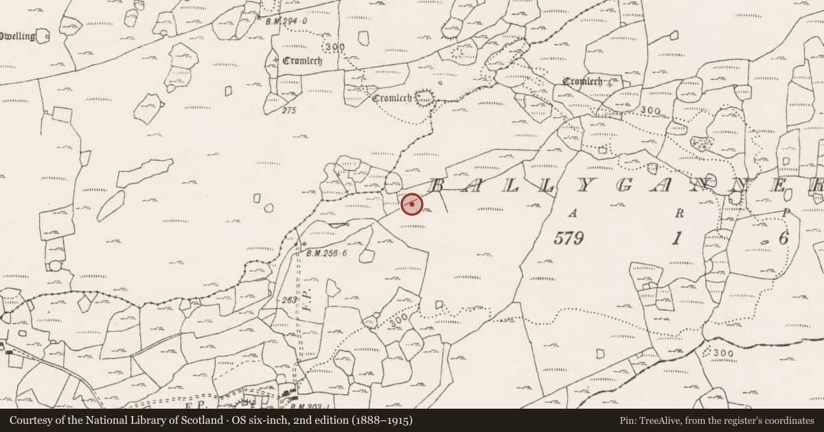 Ordnance Survey six-inch map, 2nd edition (1888–1915) covering the location of Cist, Ballyganner South, County Clare, with a pin at the register's coordinates