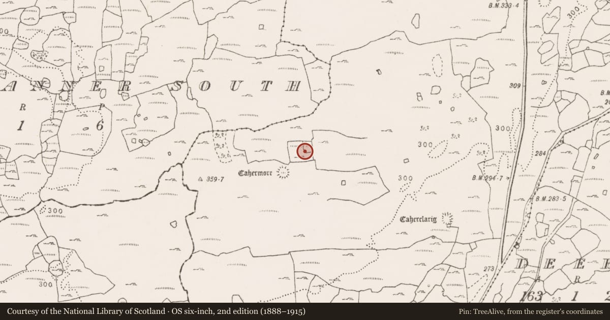 Ordnance Survey six-inch map, 2nd edition (1888–1915) covering the location of Enclosure, Sheshymore, County Clare, with a pin at the register's coordinates