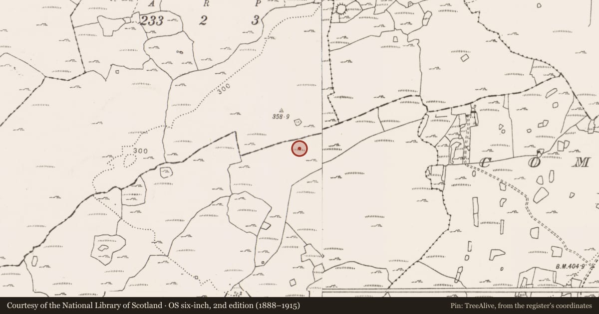 Ordnance Survey six-inch map, 2nd edition (1888–1915) covering the location of Field system, County Clare, with a pin at the register's coordinates
