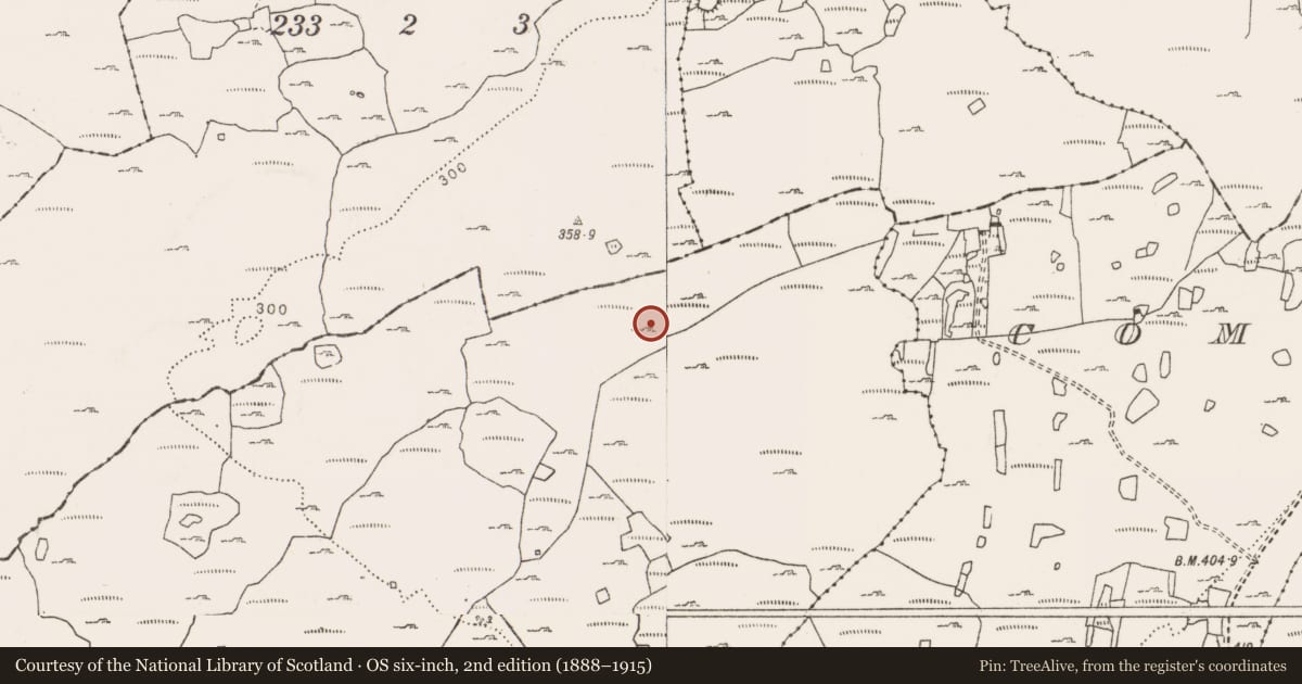 Ordnance Survey six-inch map, 2nd edition (1888–1915) covering the location of Hut site, Caherfadda, County Clare, with a pin at the register's coordinates