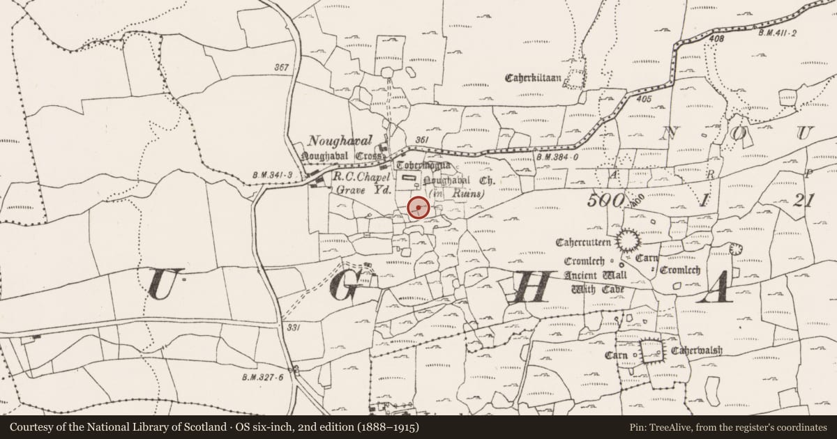 Ordnance Survey six-inch map, 2nd edition (1888–1915) covering the location of House - indeterminate date, Noughaval, County Clare, with a pin at the register's coordinates