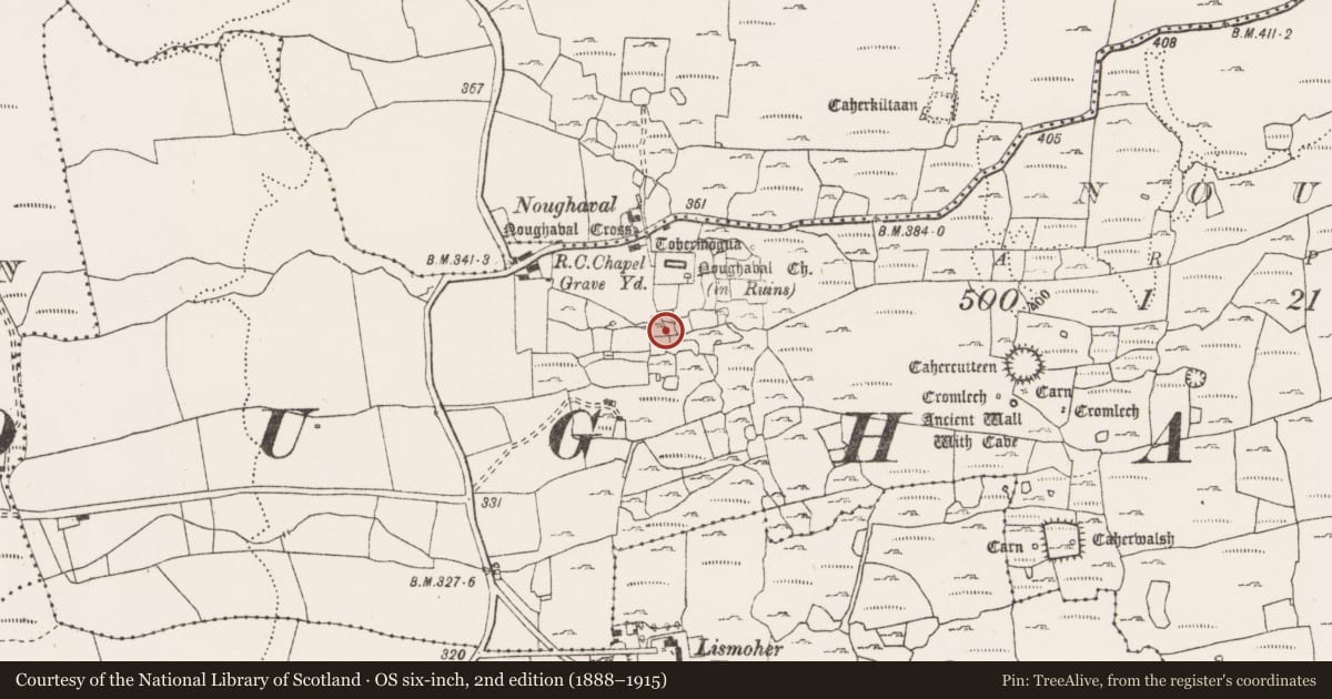 Ordnance Survey six-inch map, 2nd edition (1888–1915) covering the location of House - indeterminate date, Noughaval, County Clare, with a pin at the register's coordinates