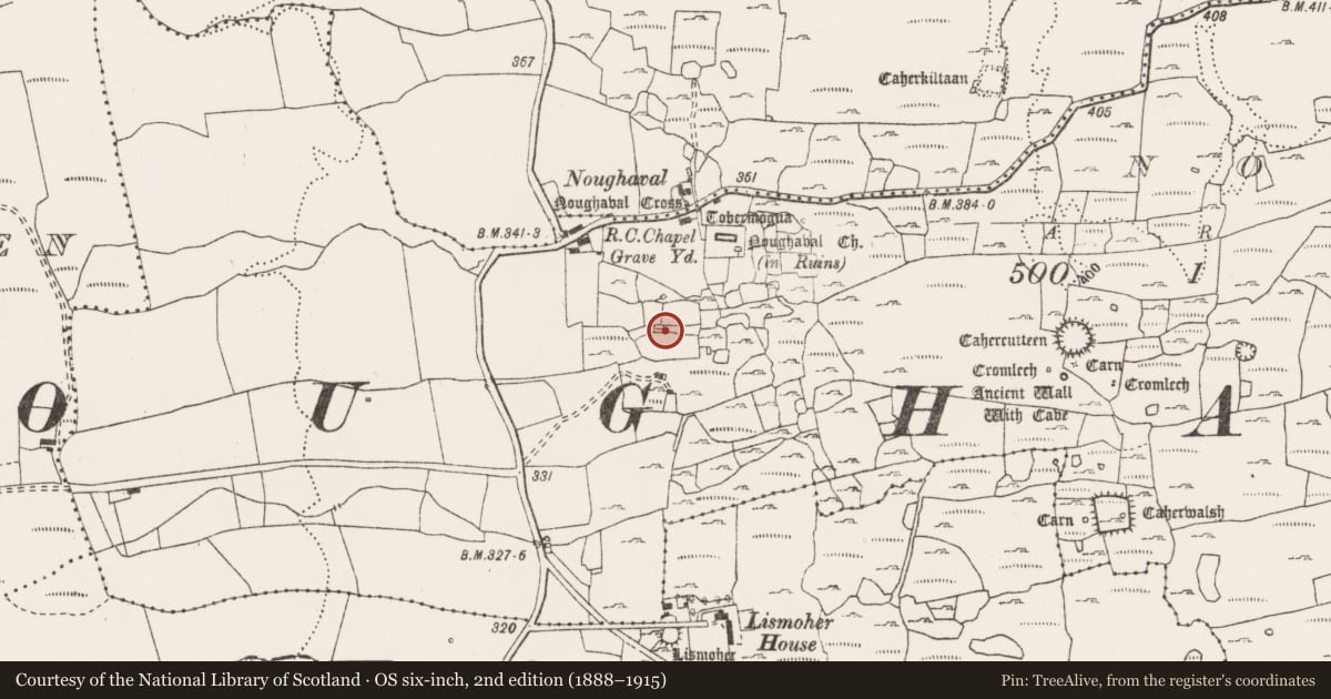 Ordnance Survey six-inch map, 2nd edition (1888–1915) covering the location of House - indeterminate date, Noughaval, County Clare, with a pin at the register's coordinates