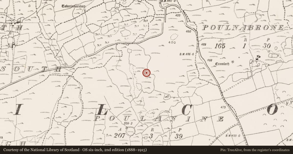 Ordnance Survey six-inch map, 2nd edition (1888–1915) covering the location of Ringfort - cashel, Poulanine, County Clare, with a pin at the register's coordinates