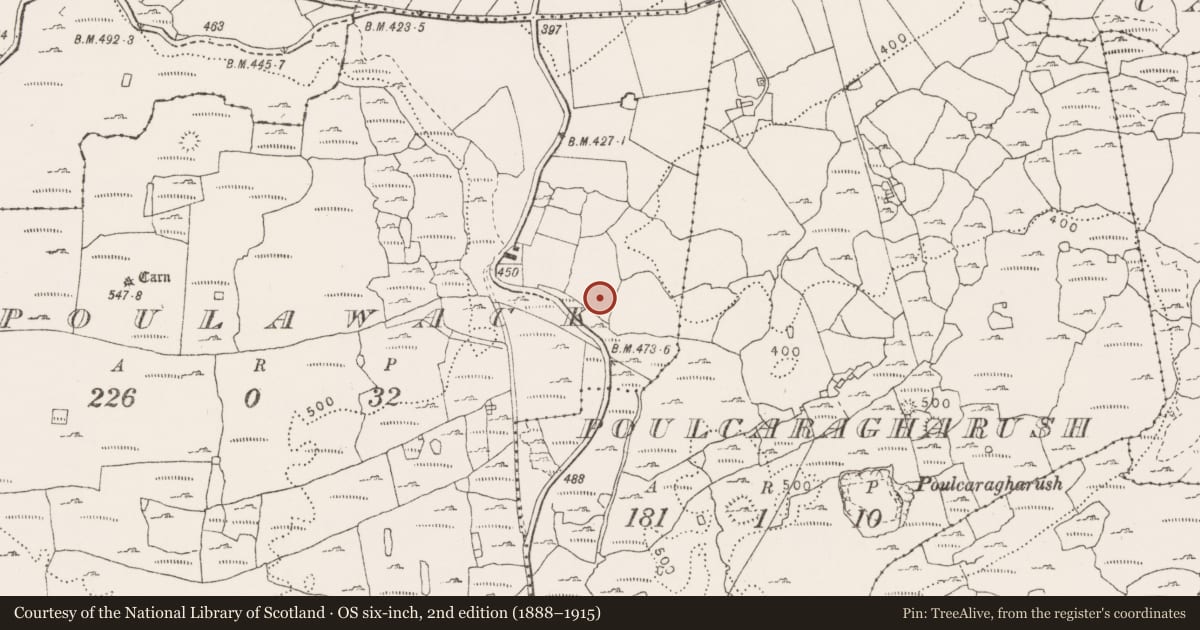 Ordnance Survey six-inch map, 2nd edition (1888–1915) covering the location of Children's burial ground, Poulawack, County Clare, with a pin at the register's coordinates