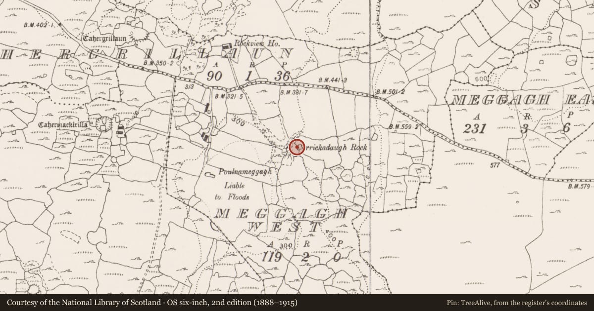 Ordnance Survey six-inch map, 2nd edition (1888–1915) covering the location of Cliff-edge fort, Meggagh West, County Clare, with a pin at the register's coordinates