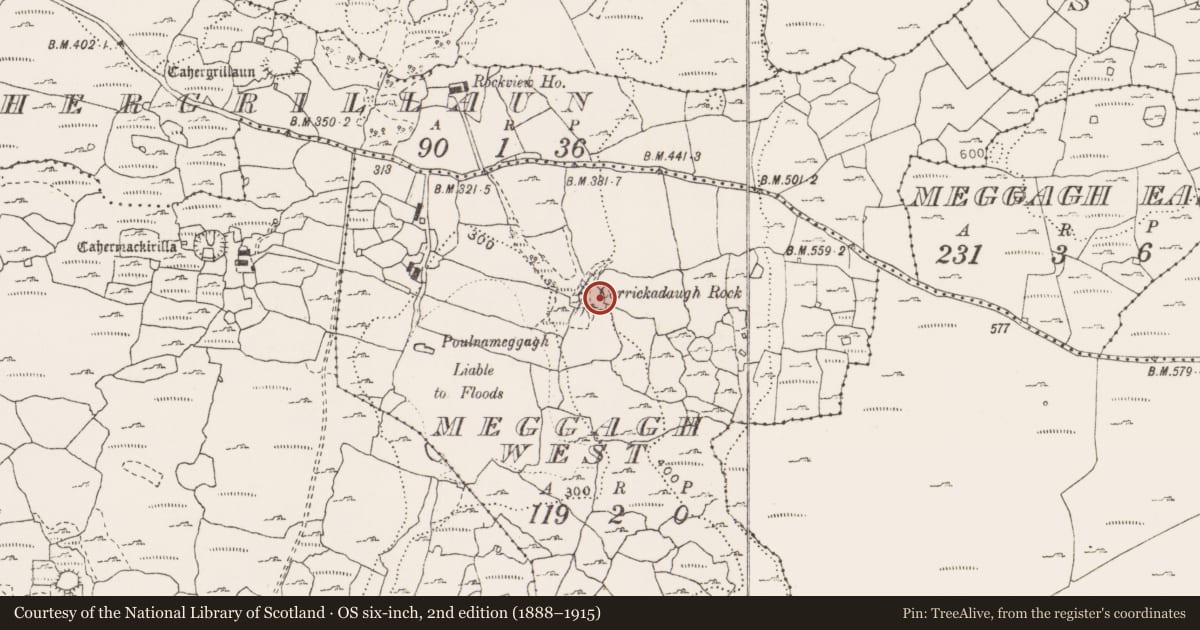 Ordnance Survey six-inch map, 2nd edition (1888–1915) covering the location of Souterrain, Meggagh West, County Clare, with a pin at the register's coordinates