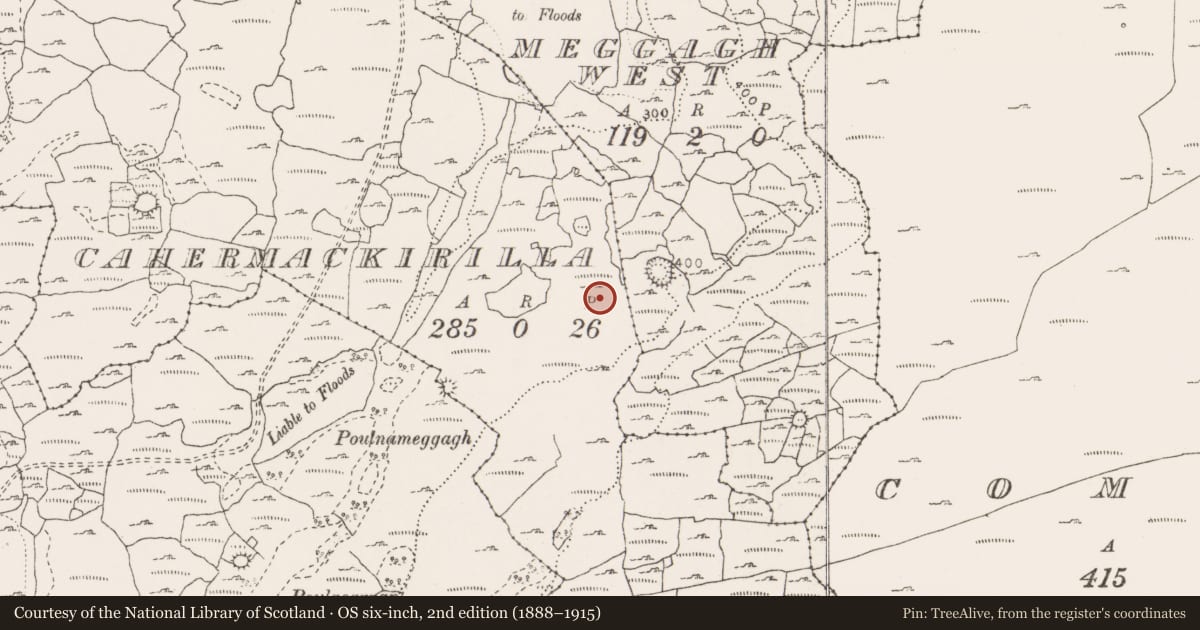 Ordnance Survey six-inch map, 2nd edition (1888–1915) covering the location of Ringfort - cashel, Cahermackirilla, County Clare, with a pin at the register's coordinates