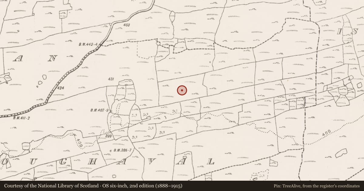 Ordnance Survey six-inch map, 2nd edition (1888–1915) covering the location of Hut site, Noughaval, County Clare, with a pin at the register's coordinates