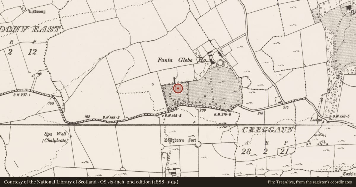 Ordnance Survey six-inch map, 2nd edition (1888–1915) covering the location of Rock scribing - folk art, Fanta Glebe, County Clare, with a pin at the register's coordinates