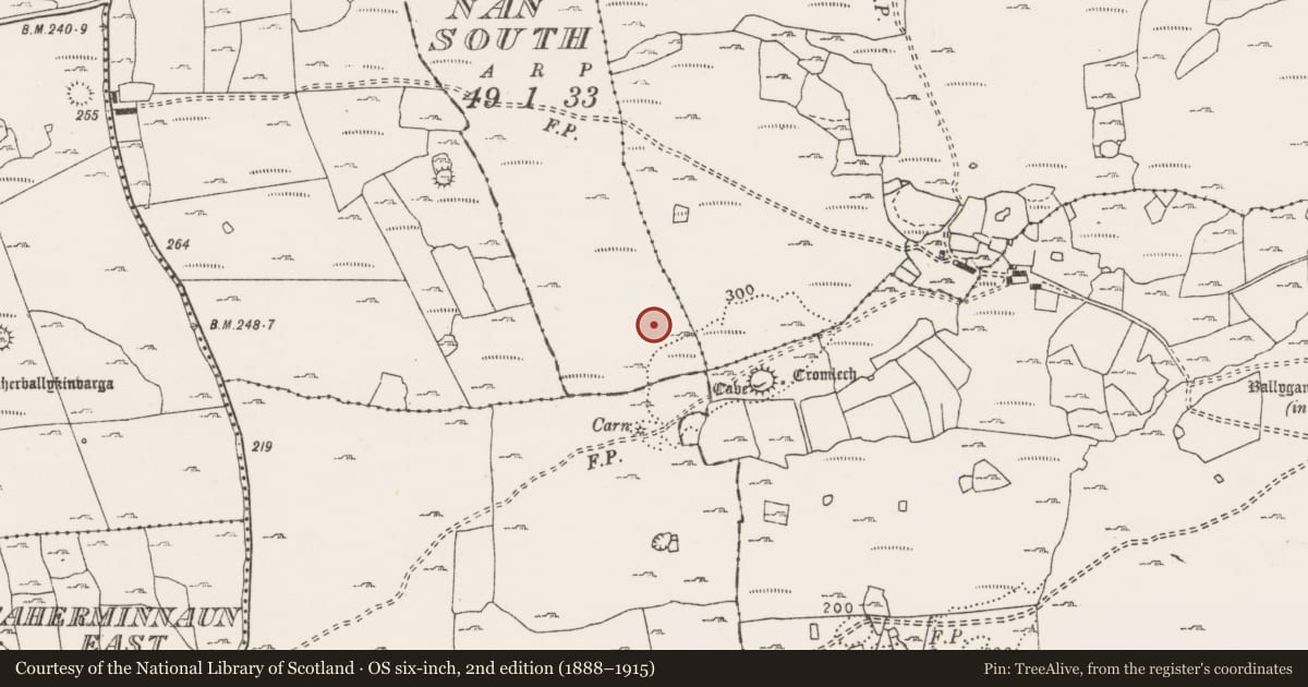 Ordnance Survey six-inch map, 2nd edition (1888–1915) covering the location of Megalithic tomb - wedge tomb, Kiltennan South, County Clare, with a pin at the register's coordinates