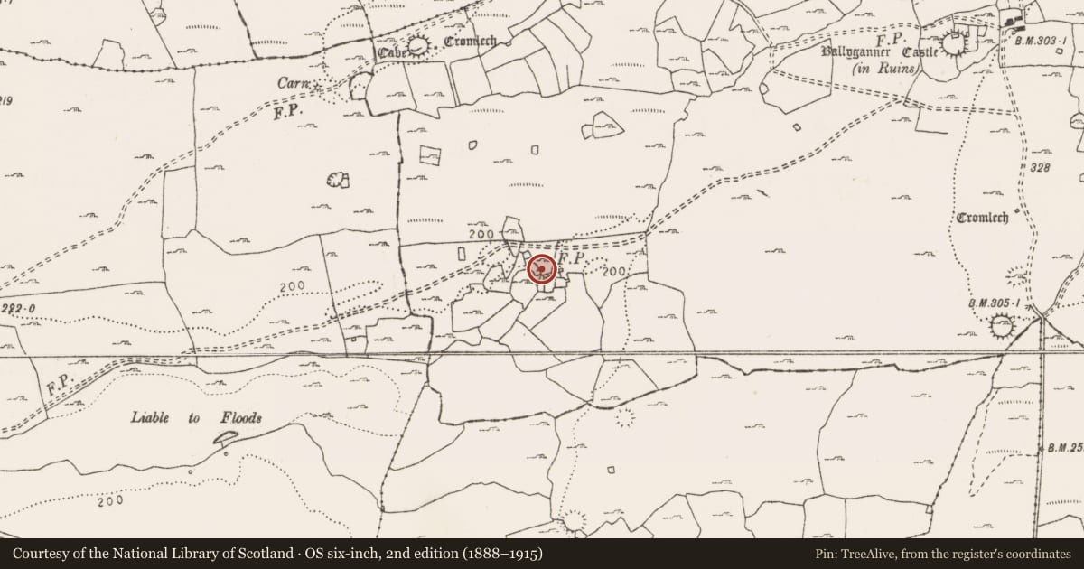 Ordnance Survey six-inch map, 2nd edition (1888–1915) covering the location of Settlement cluster, Ballyganner South, County Clare, with a pin at the register's coordinates
