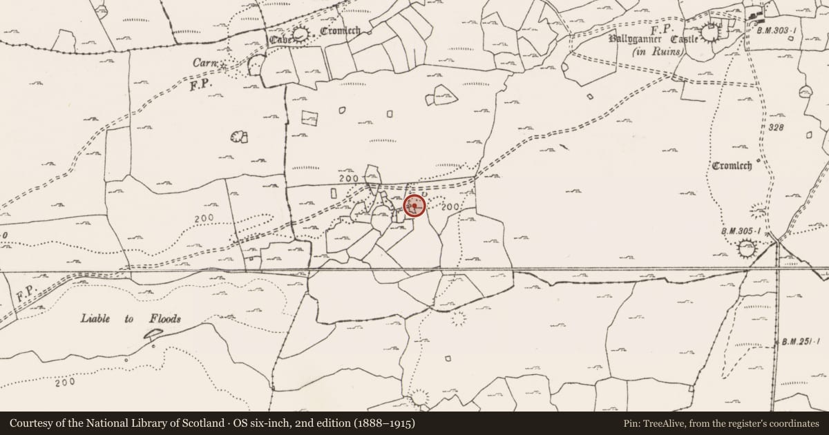 Ordnance Survey six-inch map, 2nd edition (1888–1915) covering the location of House - indeterminate date, Ballyganner South, County Clare, with a pin at the register's coordinates