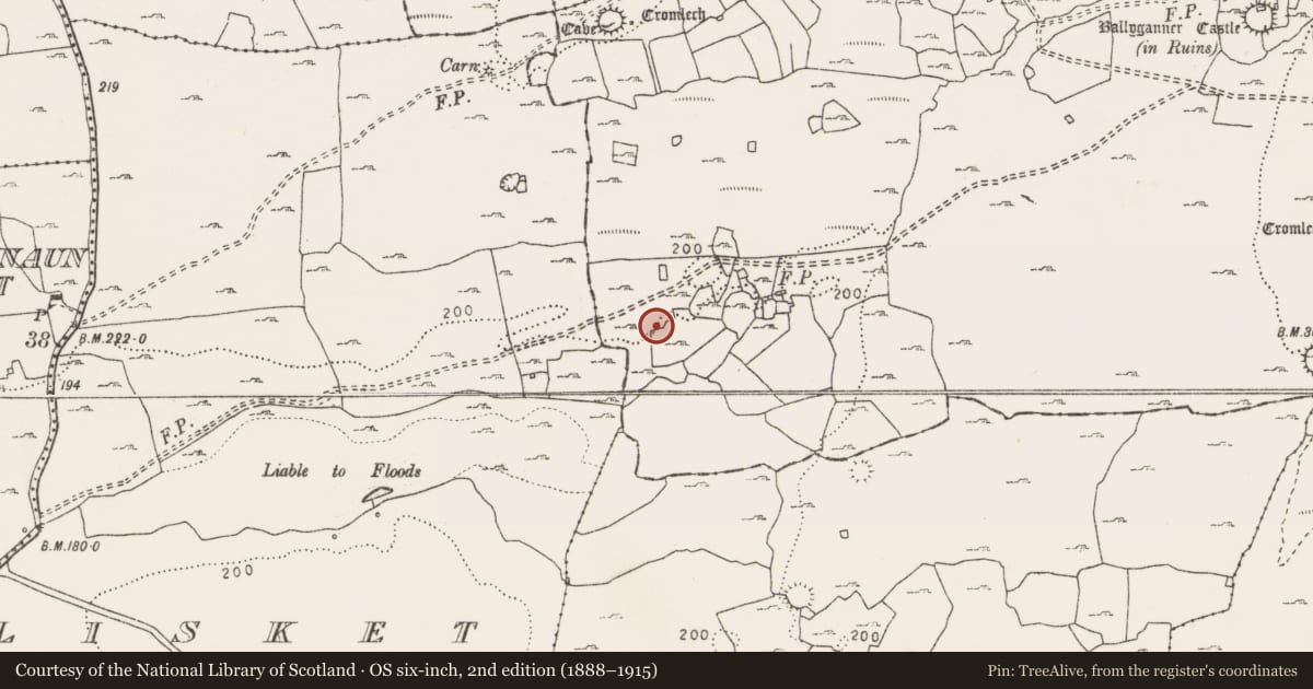 Ordnance Survey six-inch map, 2nd edition (1888–1915) covering the location of House - indeterminate date, Ballyganner South, County Clare, with a pin at the register's coordinates