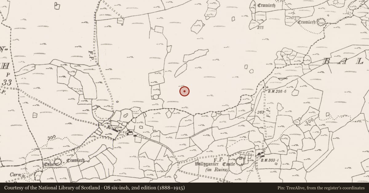 Ordnance Survey six-inch map, 2nd edition (1888–1915) covering the location of Fulacht fia, Ballyganner North, County Clare, with a pin at the register's coordinates