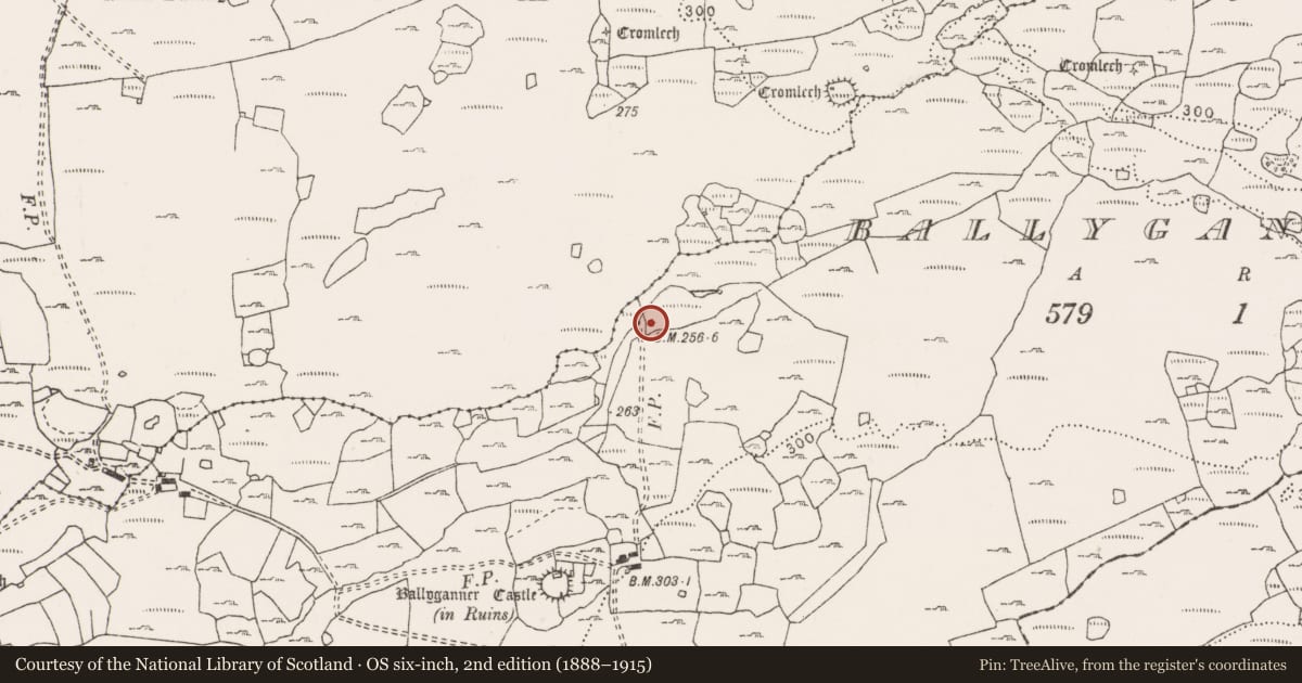 Ordnance Survey six-inch map, 2nd edition (1888–1915) covering the location of Fulacht fia, Ballyganner South, County Clare, with a pin at the register's coordinates