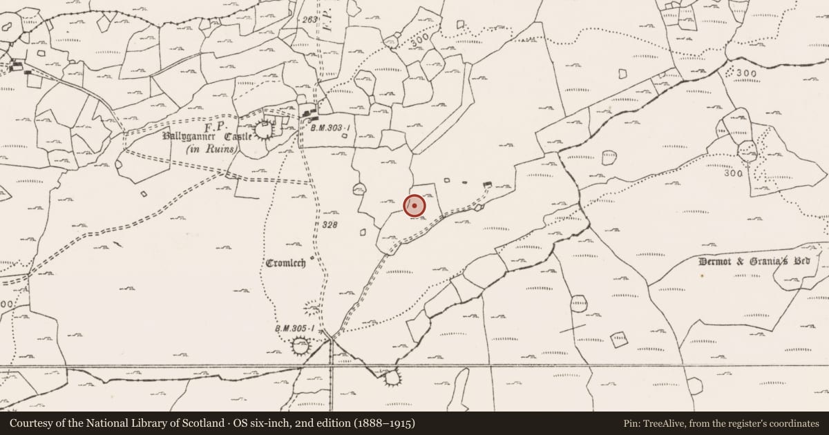 Ordnance Survey six-inch map, 2nd edition (1888–1915) covering the location of Fulacht fia, Ballyganner South, County Clare, with a pin at the register's coordinates
