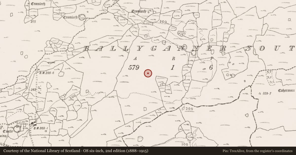 Ordnance Survey six-inch map, 2nd edition (1888–1915) covering the location of Fulacht fia, Ballyganner South, County Clare, with a pin at the register's coordinates