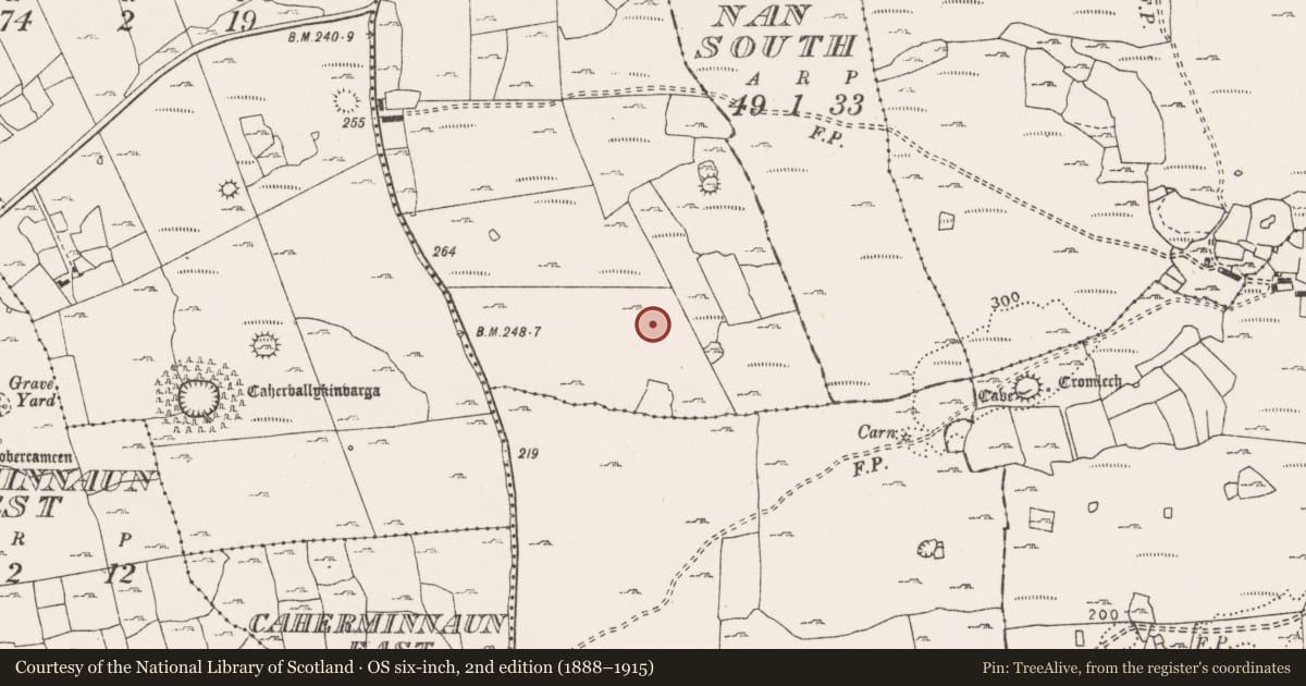 Ordnance Survey six-inch map, 2nd edition (1888–1915) covering the location of Ringfort - cashel, Ballyhomulta, County Clare, with a pin at the register's coordinates