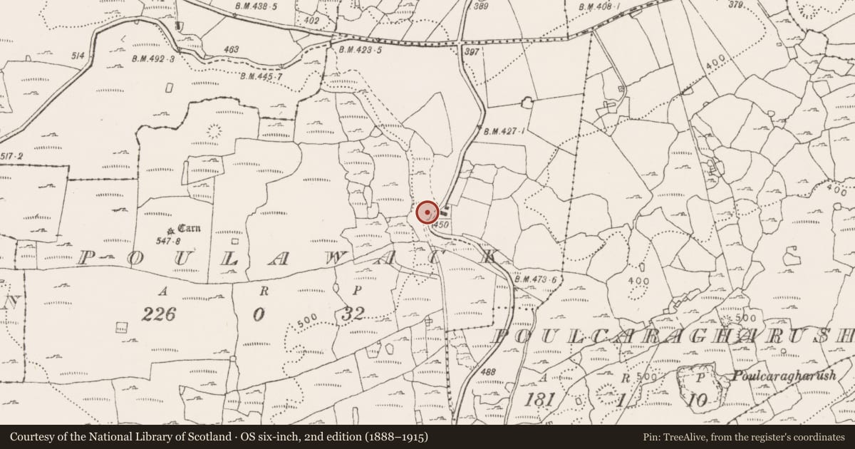 Ordnance Survey six-inch map, 2nd edition (1888–1915) covering the location of Rock scribing - folk art, Poulawack, County Clare, with a pin at the register's coordinates