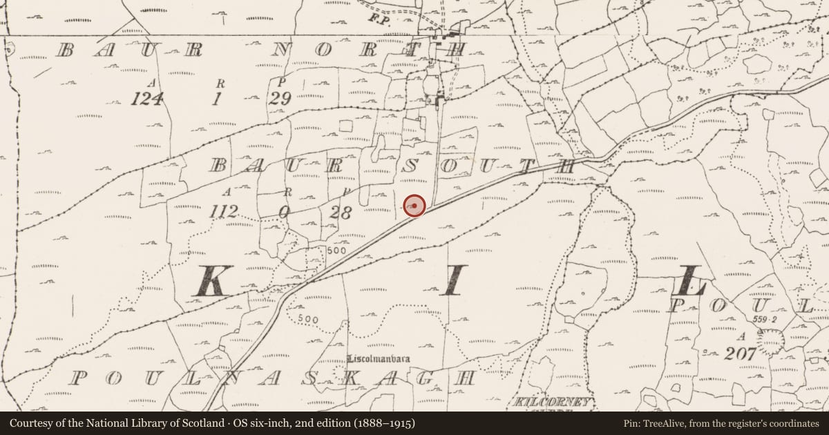 Ordnance Survey six-inch map, 2nd edition (1888–1915) covering the location of Megalithic tomb - wedge tomb, Baur South, County Clare, with a pin at the register's coordinates
