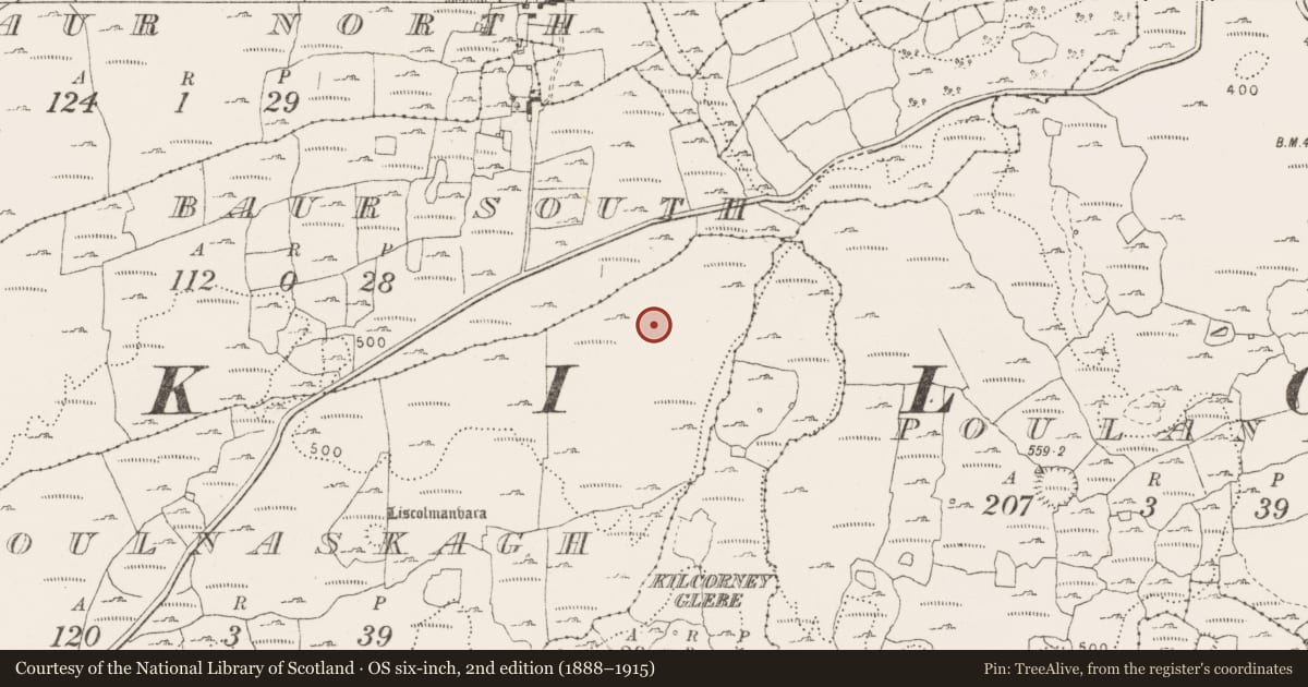 Ordnance Survey six-inch map, 2nd edition (1888–1915) covering the location of Cist, Poulnaskagh, County Clare, with a pin at the register's coordinates