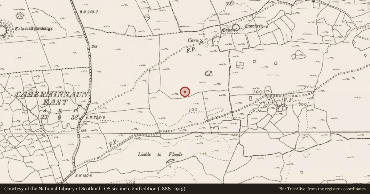 Ordnance Survey six-inch map, 2nd edition (1888–1915) covering the location of Ringfort - cashel, Lisket, County Clare, with a pin at the register's coordinates