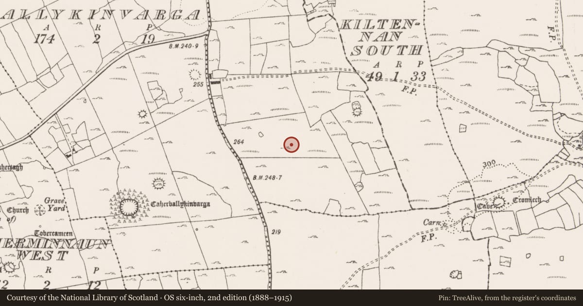 Ordnance Survey six-inch map, 2nd edition (1888–1915) covering the location of Ringfort - cashel, Ballyhomulta, County Clare, with a pin at the register's coordinates