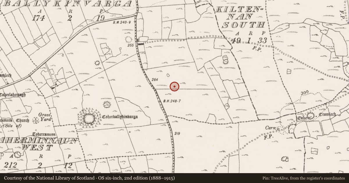 Ordnance Survey six-inch map, 2nd edition (1888–1915) covering the location of Road - road/trackway, Ballyhomulta, Ballykinvarga, County Clare, with a pin at the register's coordinates