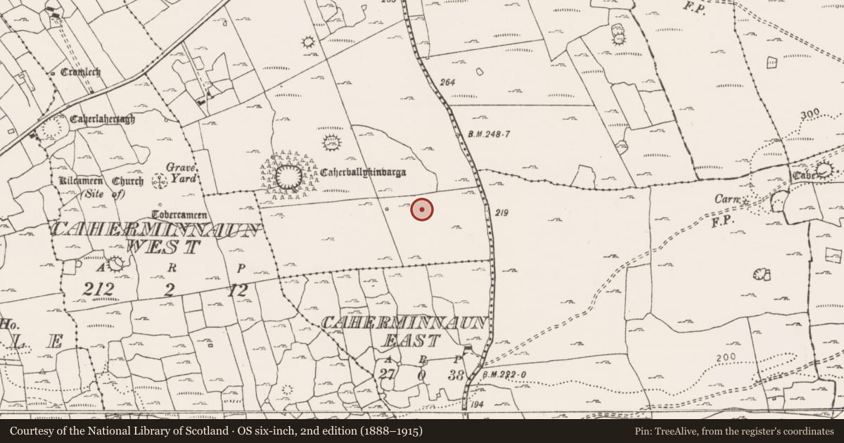Ordnance Survey six-inch map, 2nd edition (1888–1915) covering the location of Ringfort - cashel, Ballykinvarga, County Clare, with a pin at the register's coordinates
