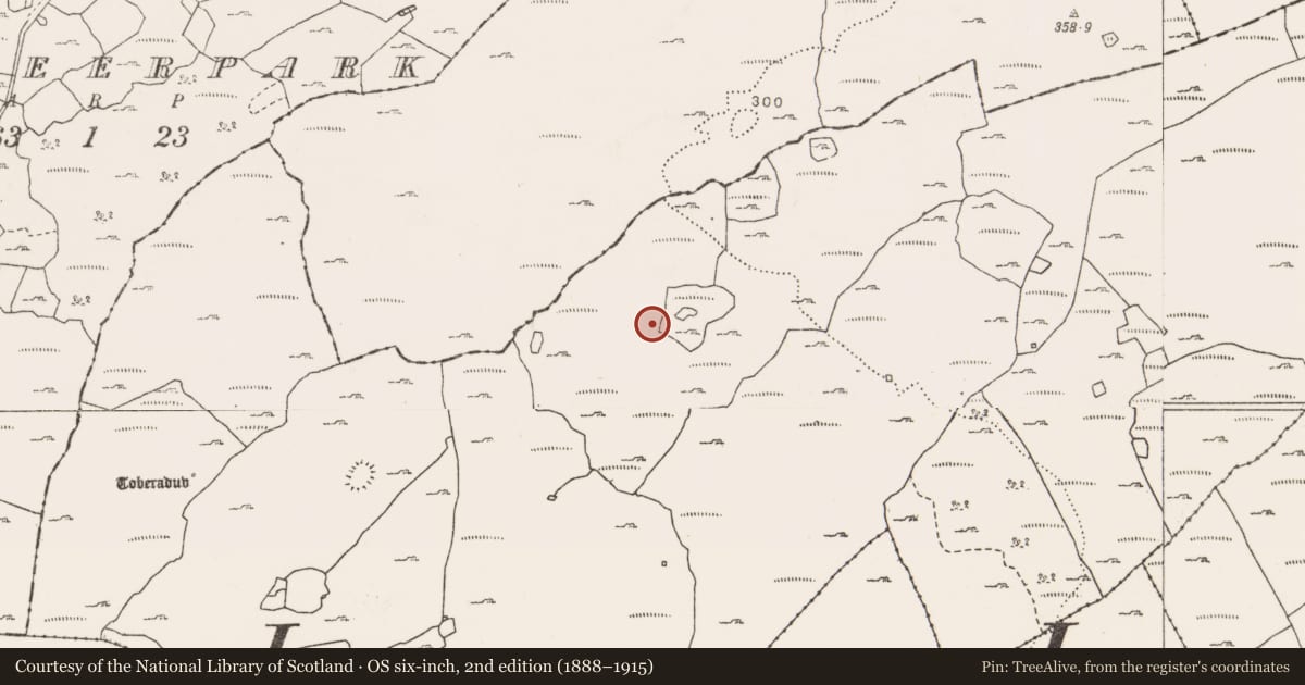 Ordnance Survey six-inch map, 2nd edition (1888–1915) covering the location of Megalithic structure, Caherfadda, County Clare, with a pin at the register's coordinates