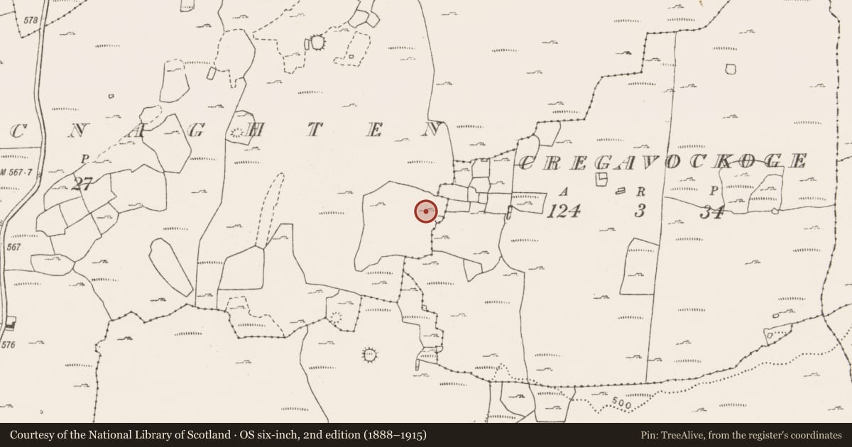 Ordnance Survey six-inch map, 2nd edition (1888–1915) covering the location of Enclosure, Cahermacnaghten, County Clare, with a pin at the register's coordinates