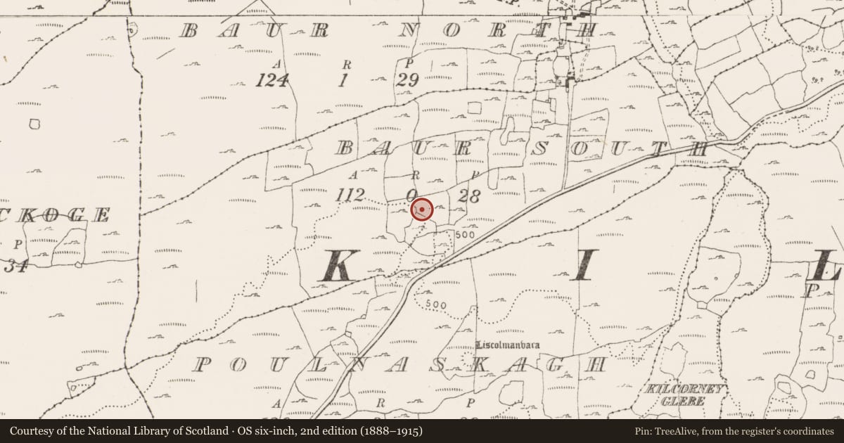 Ordnance Survey six-inch map, 2nd edition (1888–1915) covering the location of Enclosure, Baur South, County Clare, with a pin at the register's coordinates