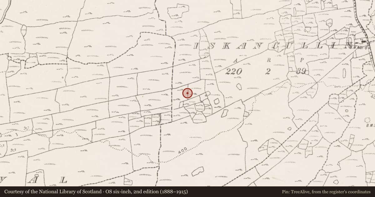 Ordnance Survey six-inch map, 2nd edition (1888–1915) covering the location of Cairn - burial cairn, Iskancullin, County Clare, with a pin at the register's coordinates