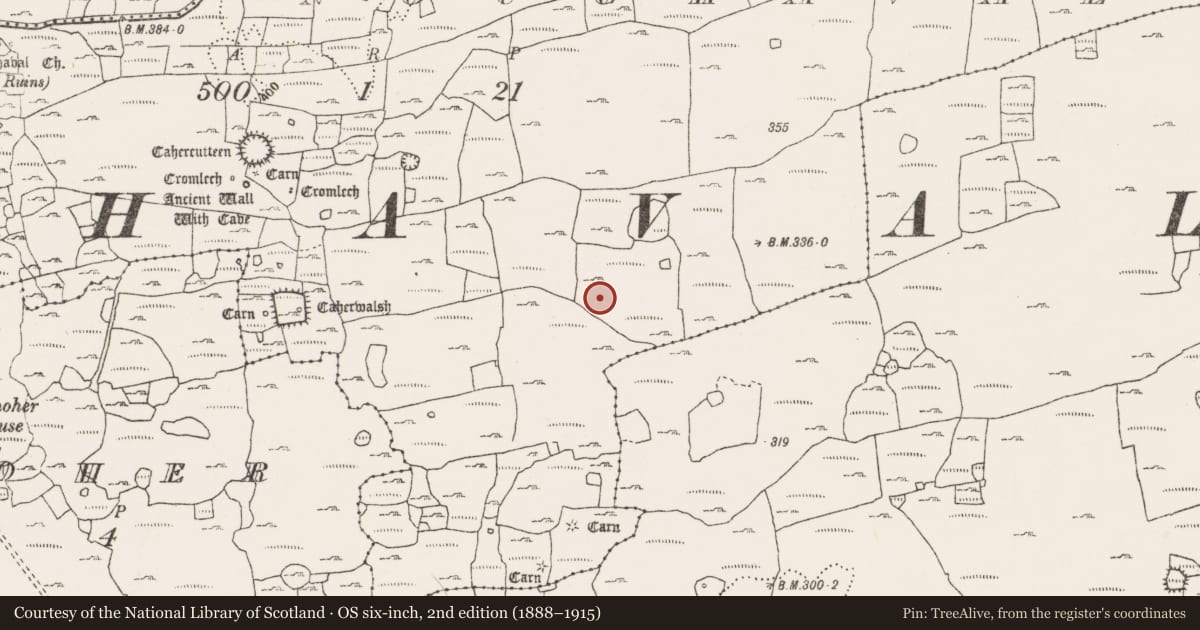 Ordnance Survey six-inch map, 2nd edition (1888–1915) covering the location of Enclosure, Noughaval, County Clare, with a pin at the register's coordinates
