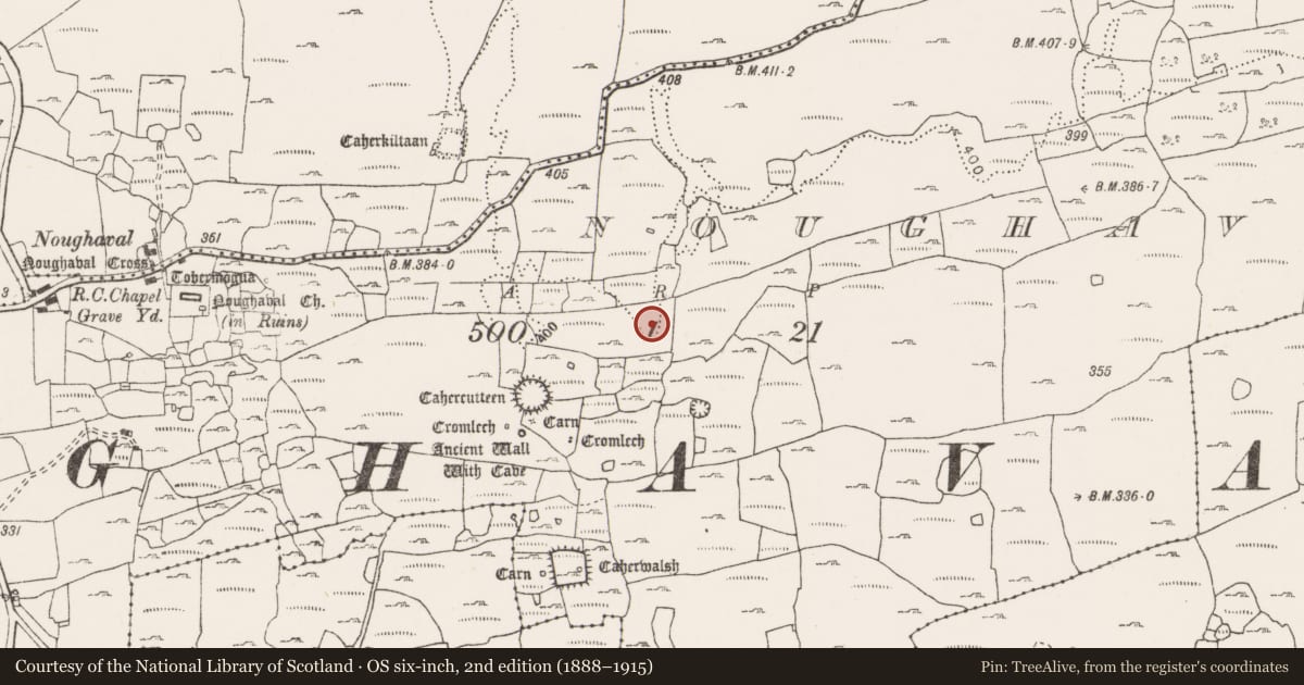 Ordnance Survey six-inch map, 2nd edition (1888–1915) covering the location of Cairn - unclassified, Noughaval, County Clare, with a pin at the register's coordinates