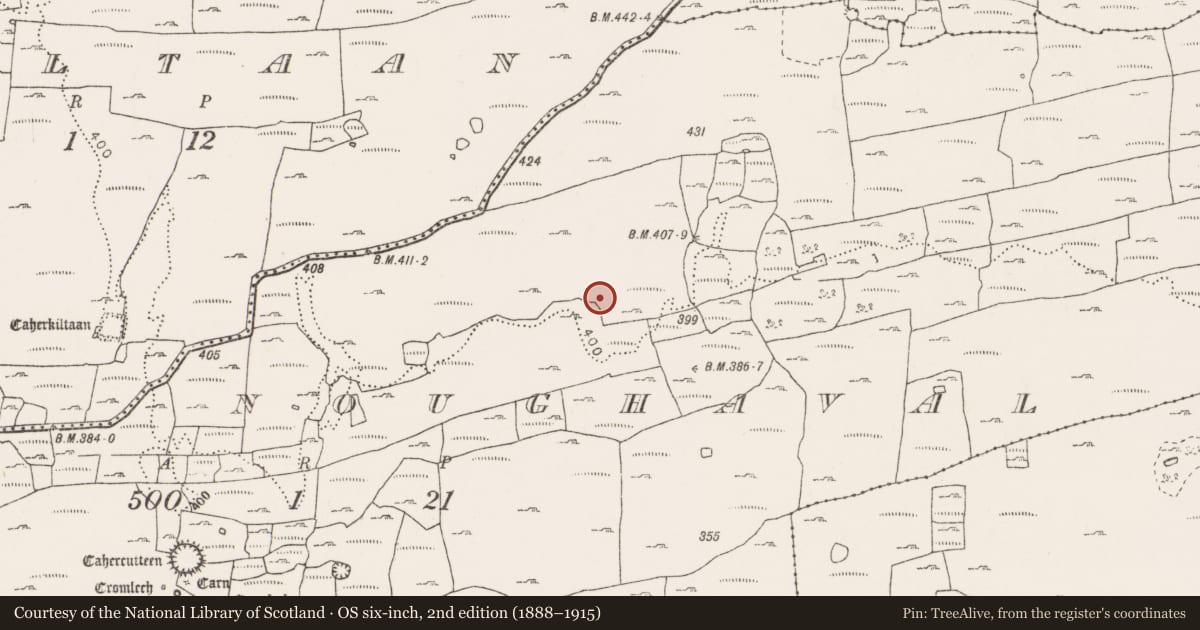 Ordnance Survey six-inch map, 2nd edition (1888–1915) covering the location of Cairn - unclassified, Noughaval, County Clare, with a pin at the register's coordinates