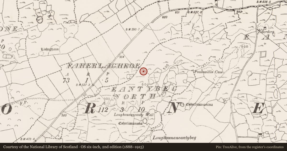 Ordnance Survey six-inch map, 2nd edition (1888–1915) covering the location of Enclosure, Eantybeg North, County Clare, with a pin at the register's coordinates