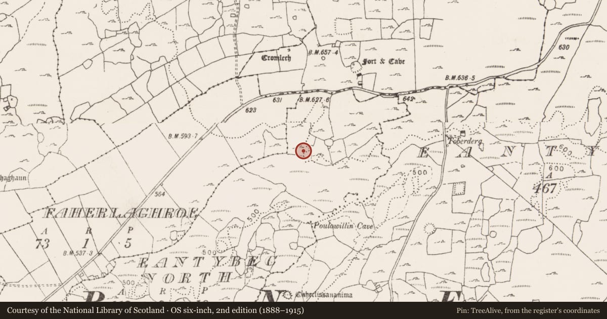 Ordnance Survey six-inch map, 2nd edition (1888–1915) covering the location of Enclosure, Eantybeg North, County Clare, with a pin at the register's coordinates