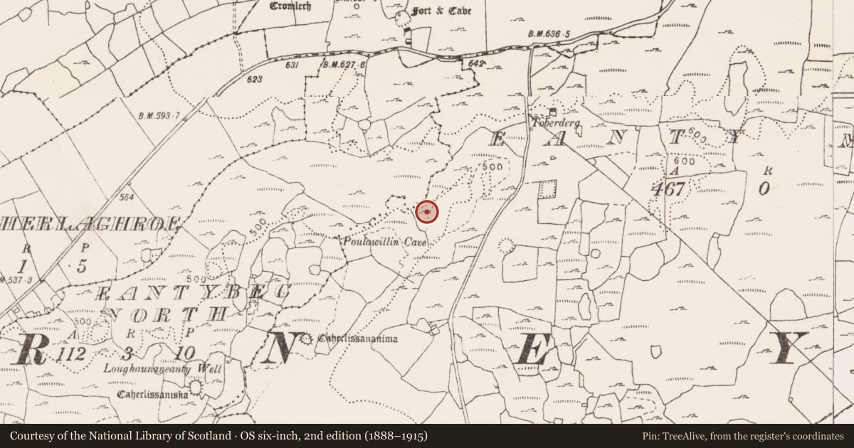 Ordnance Survey six-inch map, 2nd edition (1888–1915) covering the location of Hut site, Eanty More, County Clare, with a pin at the register's coordinates