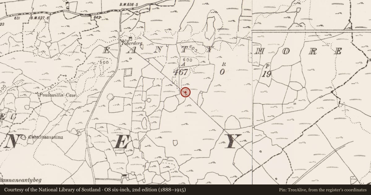 Ordnance Survey six-inch map, 2nd edition (1888–1915) covering the location of Enclosure, Eanty More, County Clare, with a pin at the register's coordinates