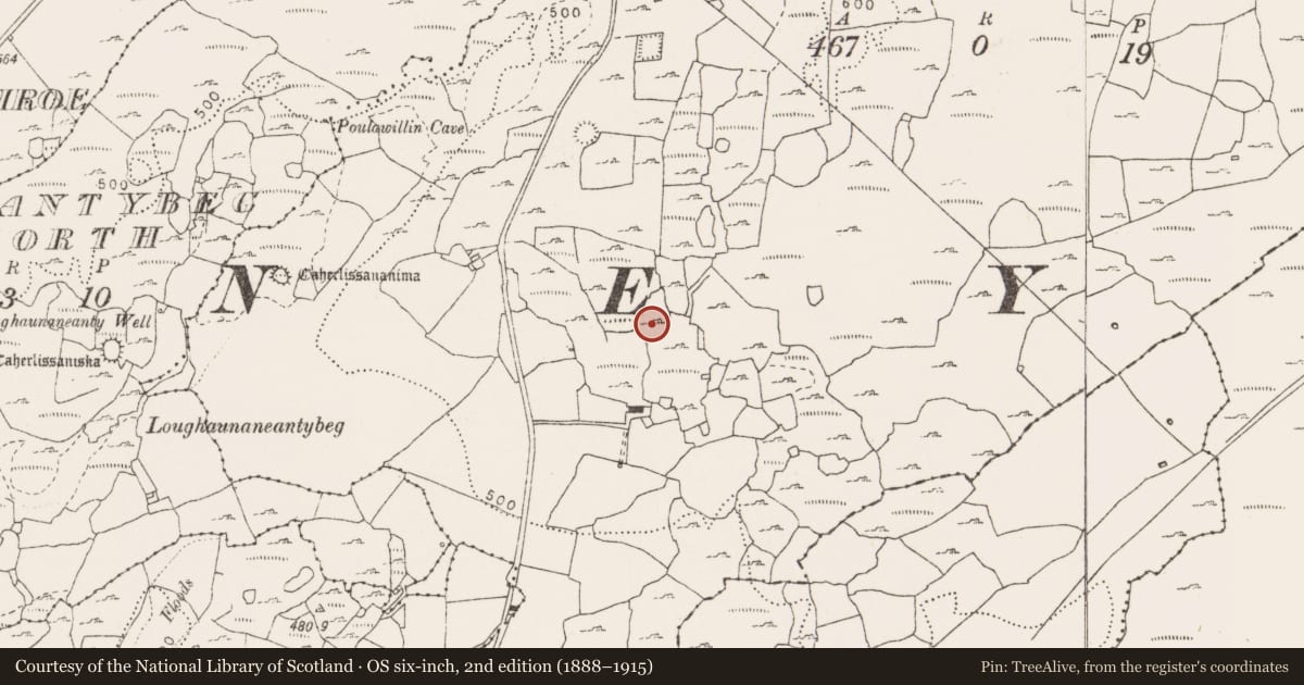 Ordnance Survey six-inch map, 2nd edition (1888–1915) covering the location of Enclosure, Eanty More, County Clare, with a pin at the register's coordinates