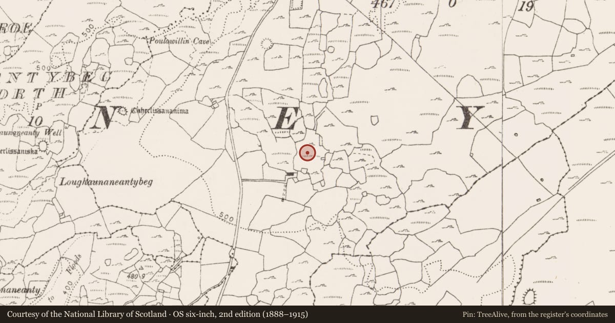 Ordnance Survey six-inch map, 2nd edition (1888–1915) covering the location of Enclosure, Eanty More, County Clare, with a pin at the register's coordinates