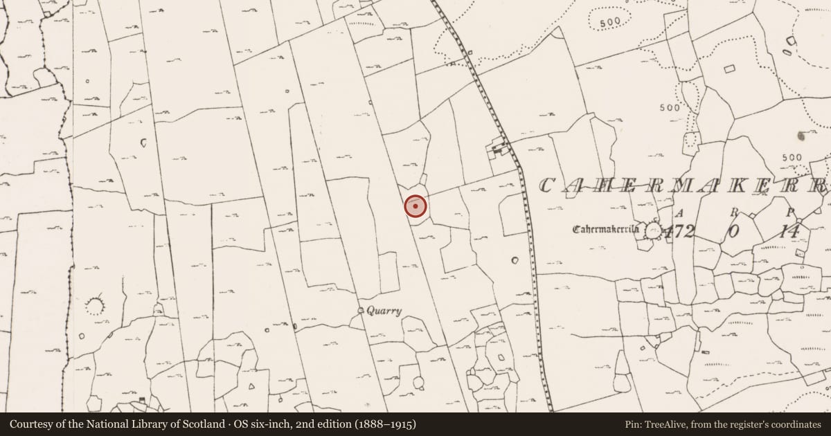 Ordnance Survey six-inch map, 2nd edition (1888–1915) covering the location of Enclosure, Ballyconnoe South, County Clare, with a pin at the register's coordinates
